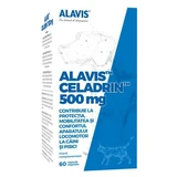 Gewrichtssupplementen voor honden en katten Celadrin, 500 mg, 60 capsules, Alavis