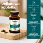 Himalaya Bio Gymnema set, 2 x 60 tabletten