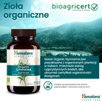 Himalaya Bio Gymnema set, 2 x 60 tabletten