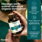 Himalaya Bio Gymnema set, 2 x 60 tabletten