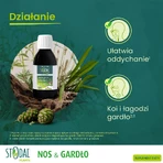 Boiron Stodal-Pflanzen, Sirup, 150 ml