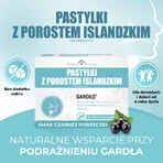 Pastillas de liquen islandés, sabor grosella negra, 24 pastillas