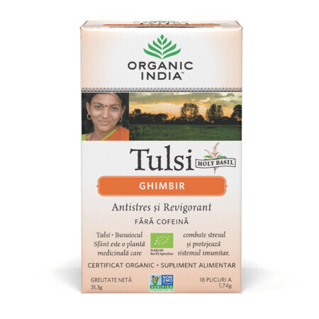 Thé Tulsi Gingembre, 18 sachets, Inde biologique