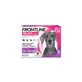 Frontline Tri-Act 20-40Kg, 6 Pipetten