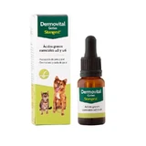 Stangest Dermovital Gotas Ω3 y Ω6 15 Ml