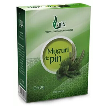 Pine Bud Tea, 50 g, Larix