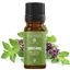 Reines ätherisches Oreganoöl, 10 ml, M-1229, Mayam