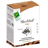 Honderd procent natuurlijk Micovitaal Chaga 60 Capsules