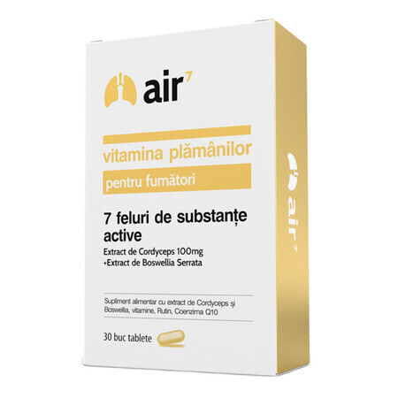 Air 7 pour les fumeurs, 30 gélules, Green Splid