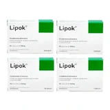 Food supplement Lipok, pack 4 x 30 capsules