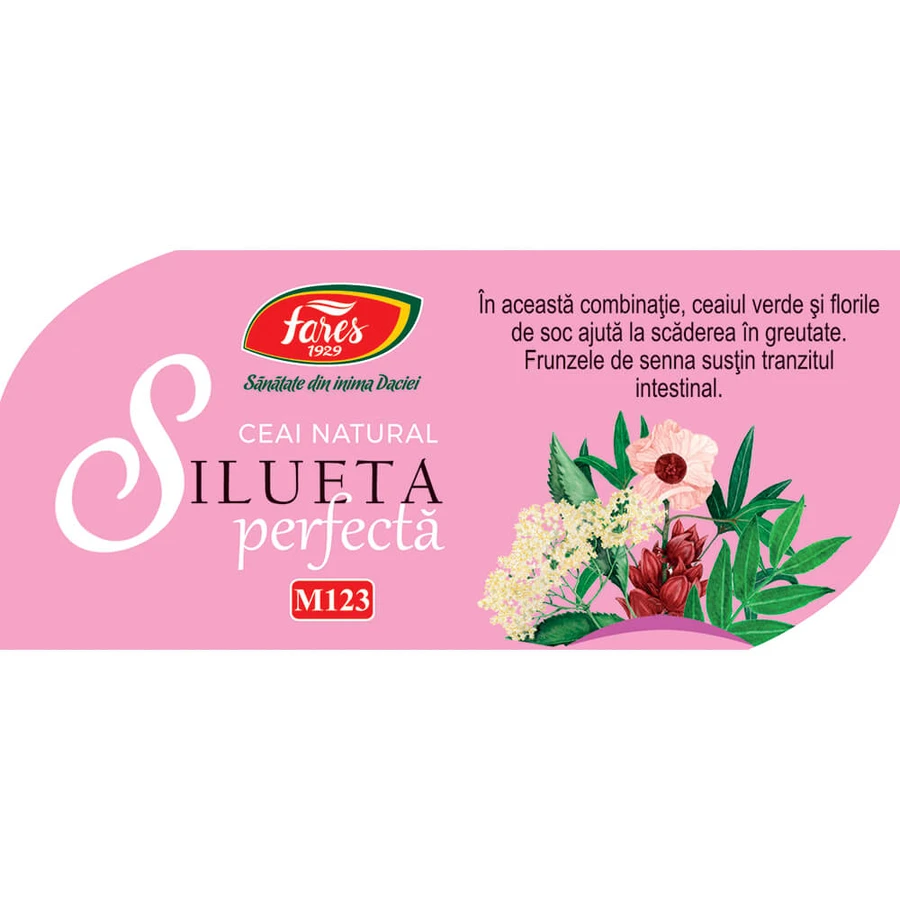 Silueta perfectǎ 1 Tea, purification and drainage M123, 20 sachets, Fares