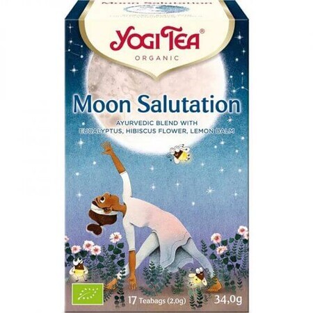 Thé biologique Moon Greeting, 17 sachets, Yogi Tea