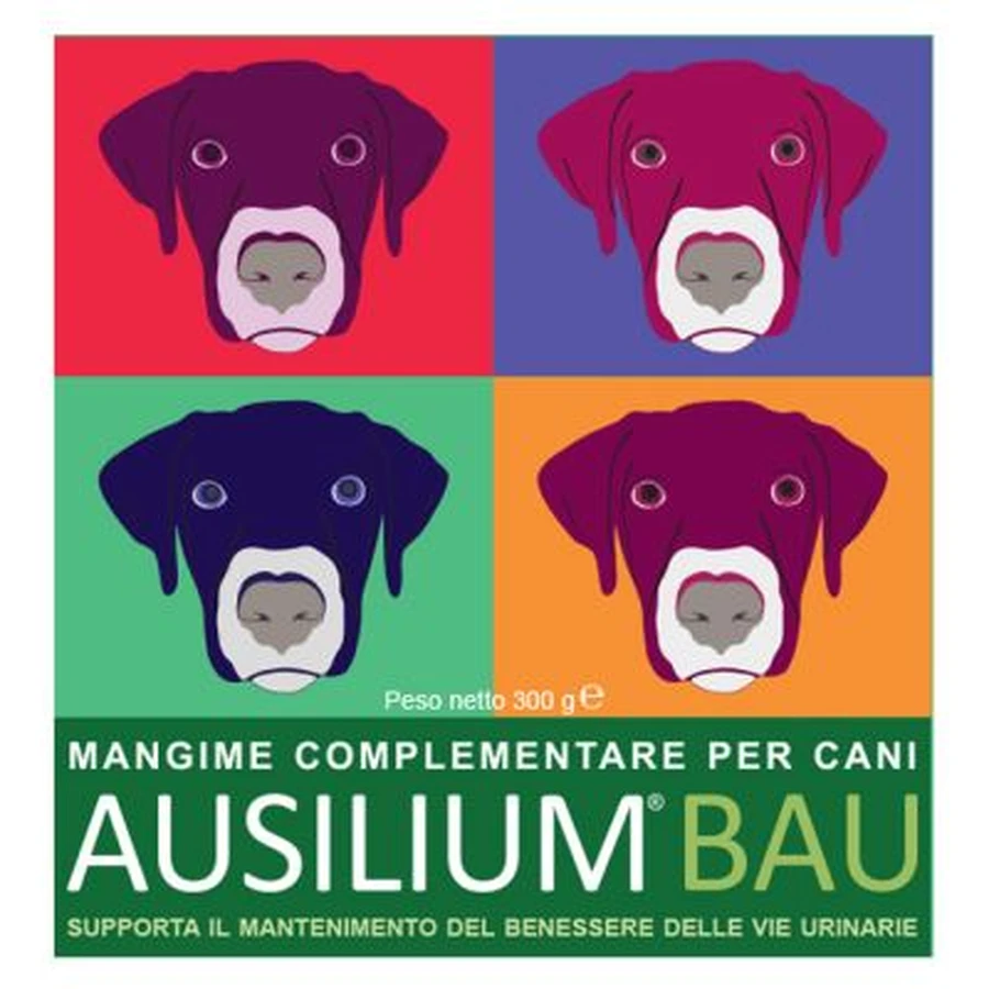Ausilium bau 300 g con cuchara
