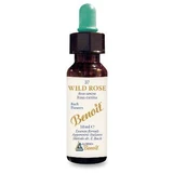 Bach flower benoit rosa silvestre 10 ml