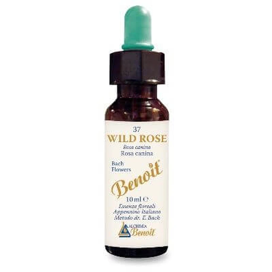 Bach bloesem benoit wilde roos 10 ml