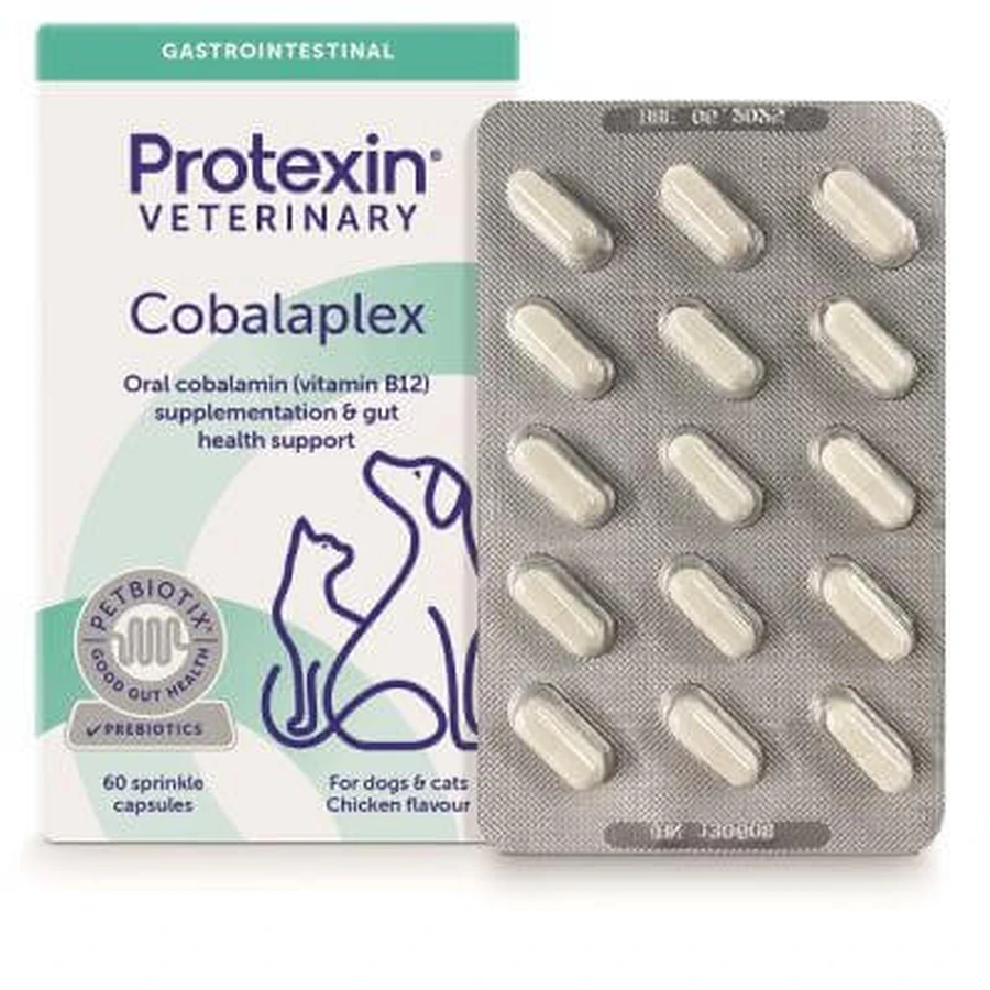 Cobalaplex 60 cápsulas