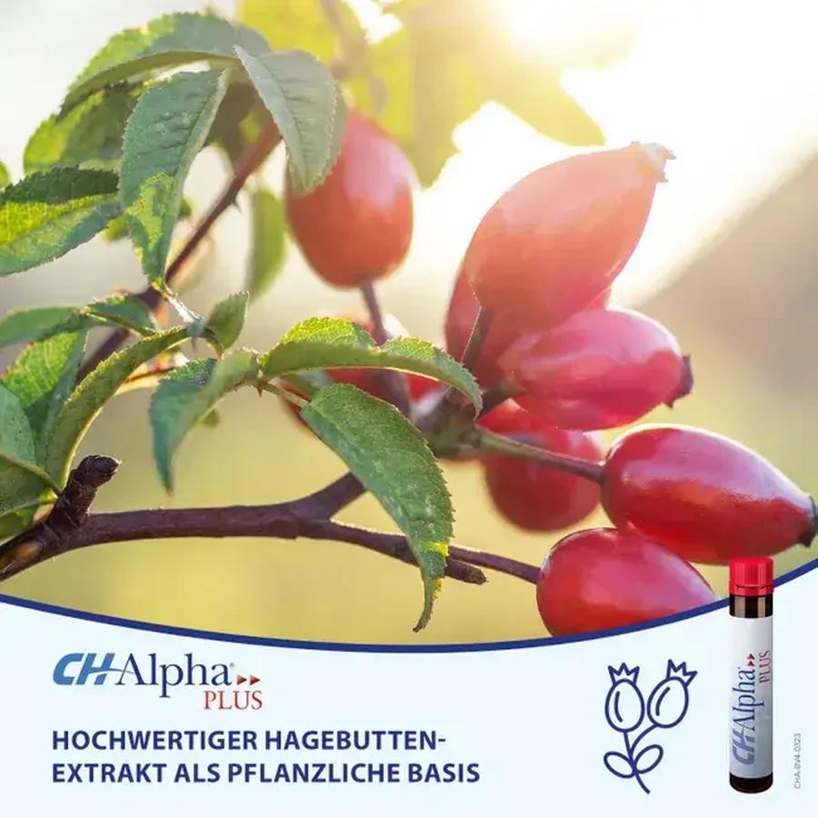 Liquid Collagen Ch Alpha Plus, 30 drinkable vials, Gelita Health
