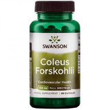 Coleus Forskohlii, 60 gélules, Swanson Health USA