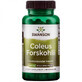 Coleus Forskohlii, 60 capsules, Swanson Health USA