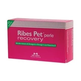 Ribes huisdier herstel blister 60 parels