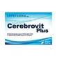 Cerebrovit plus 24 capsule