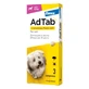 Adtab*3cpr 112mg Hunde2.5-5.5kg