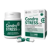 Condrostress + Katze 30 Einzelkapseln