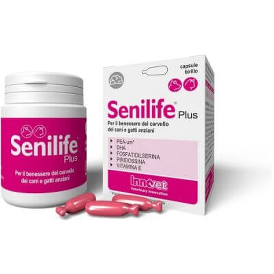 Senilife plus 60 cápsulas