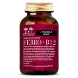 Salugea ijzer + b12 60 capsules