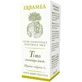 Tijm chemotype thymol 10 ml