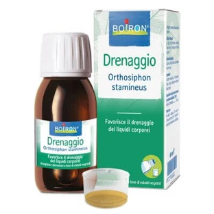 Orthosiphon stamineus hydroalcoholisch extract 60 ml int