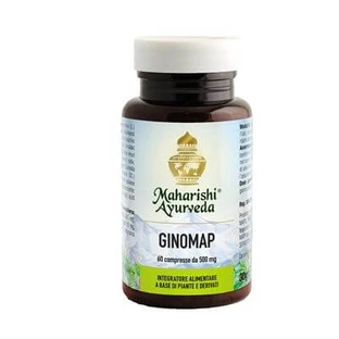 Ginomap 60 comprimidos