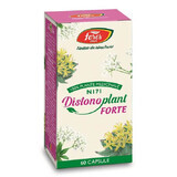 Distonoplant Forte N171, 60 gélules, Fares