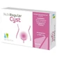 Nutriregular Zyste 20 Kapseln 500 mg