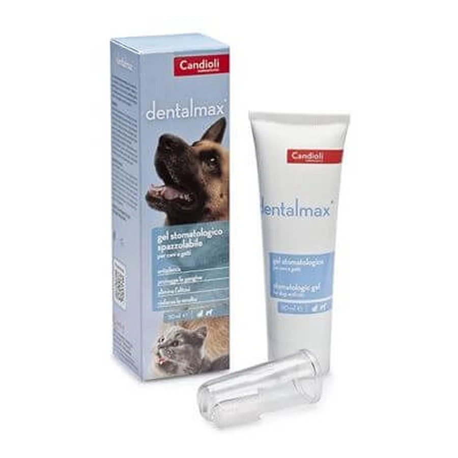 Dentalmax Zahngel 50 ml