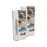 Shampoo for dogs and cats Leniderm, 2x250 ml, ICF