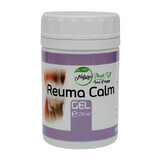 Gel calmante per i reumatismi, 250 ml, Natura Plant