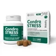 Chondrostress mobility 60 Kausnacks