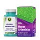 Hyper Artemisin, 60 g&#233;lules, Hypericum