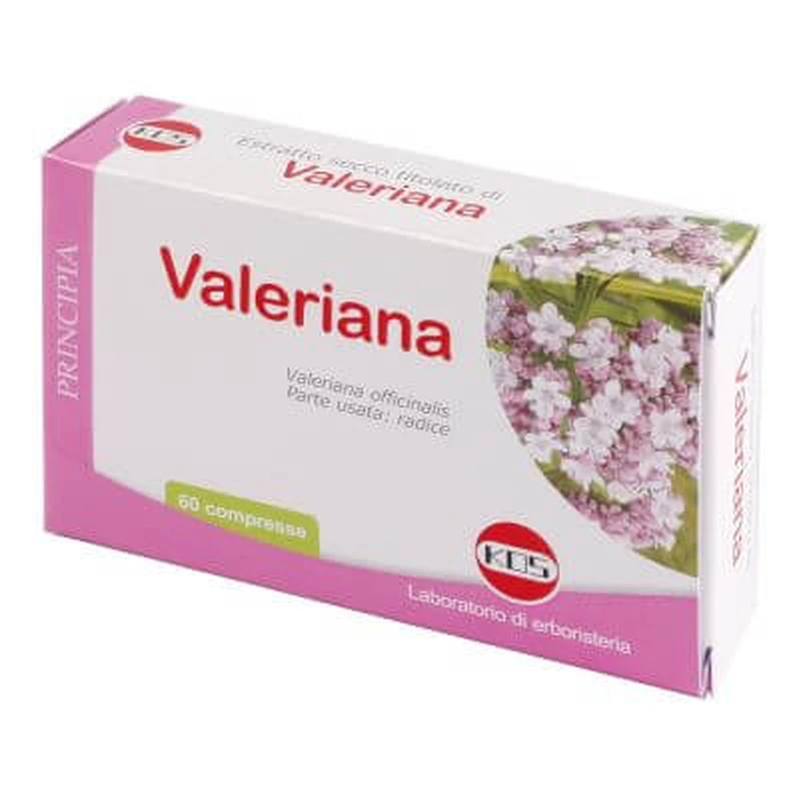 Valeriaan droog extract 60 tabletten