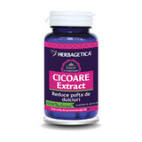 Cichorei-extract, 60 capsules, Herbagetica