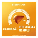 Essentiale Forte, 300 mg, 3x90 capsules, Sanofi