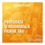 Essentiale MAX, 600 mg, 90 capsules, Sanofi