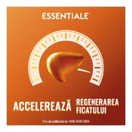 Essentiale MAX 600 mg, 3 x 90 capsules, Sanofi