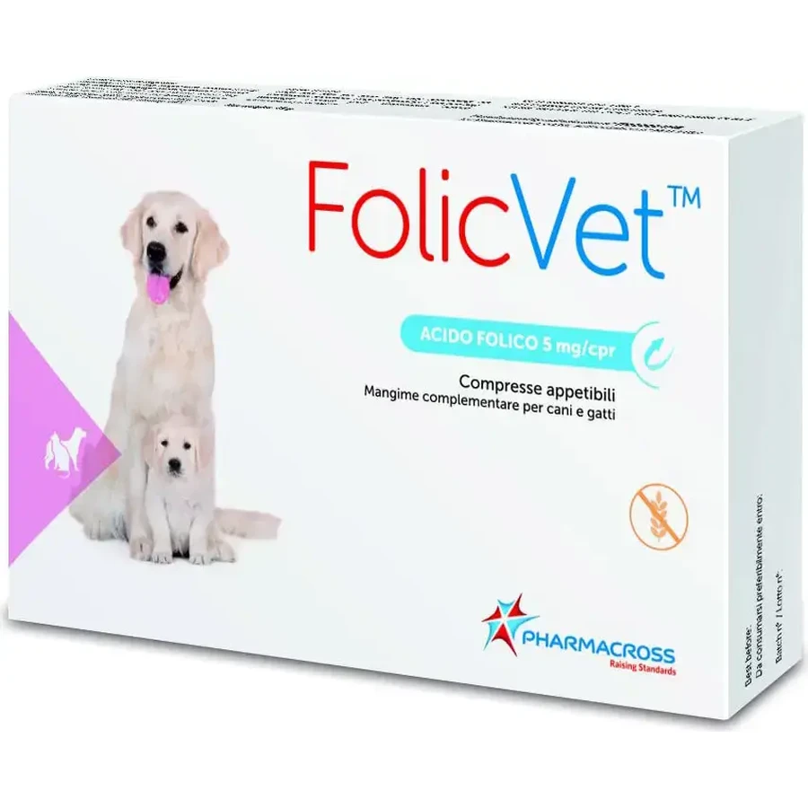 Folicvet 15 tabletten
