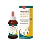 Propolis-Evsp-Hydro-Extrakt ohne Alkohol 30 ml