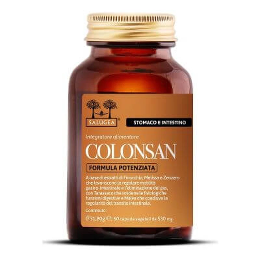 Salugea colonsan verbeterde formule 60 capsules
