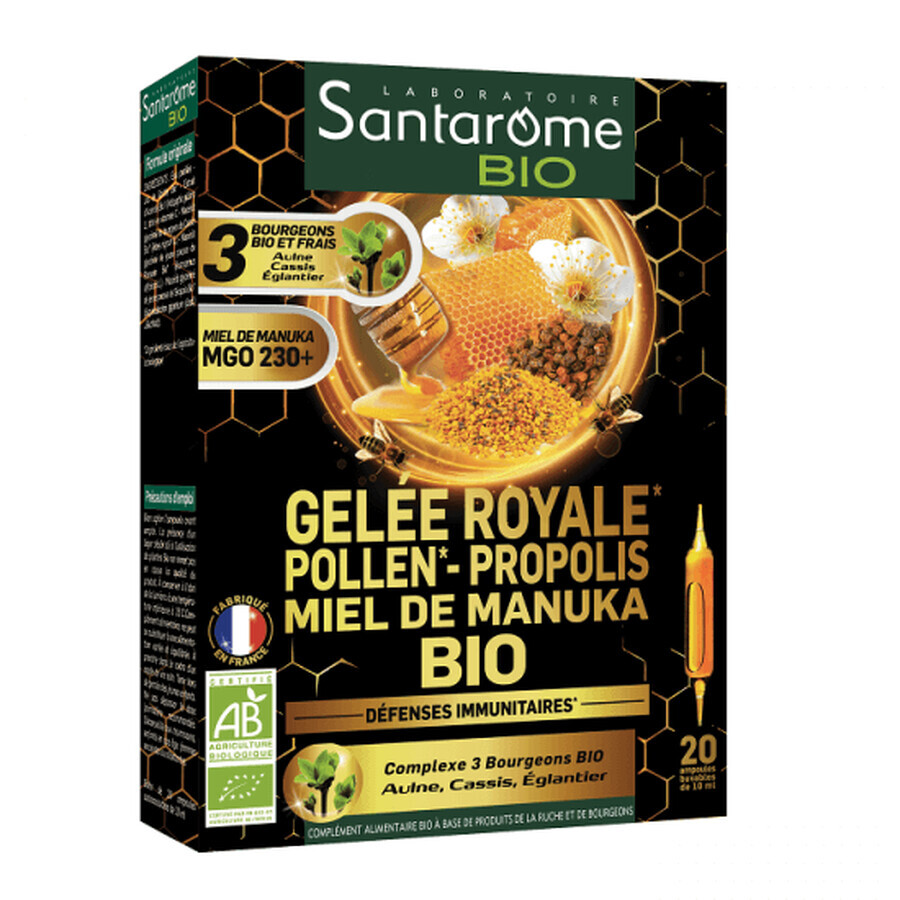 Matcha Laptisor Propolis Pollen de Manuka Bio, 20 ampoules, Santarome