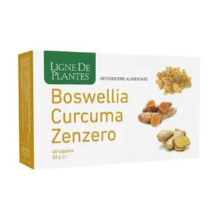 Boswellia kurkuma gember 60 capsules