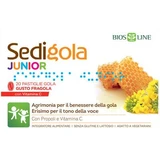 Apix propóleo sedigola junior fresa 20 comprimidos